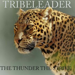 Download track DRILLER Tribeleader