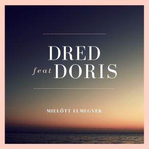 Download track Mielőtt Elmegyek (Instrumental) Dred