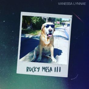 Download track Broken Record Vanessa Lynnae