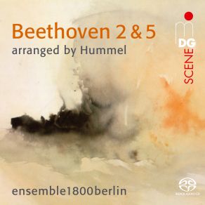 Download track Symphony No. 2 In D Major, Op. 36 I. Adagio Molto - Allegro Con Brio (Arr. By Hummel) Ensemble 1800berlin