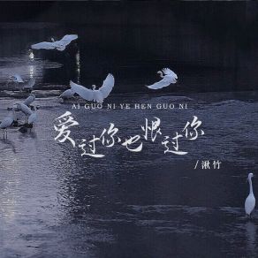 Download track 爱过你也恨过你 (DJ豪大大版伴奏) 湫竹