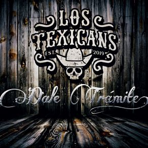 Download track Me Enseñaste A Volar Los TexicansManuel 