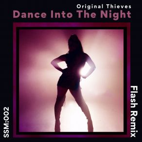 Download track Dance Into The Night (Flash Radio Edit) Original ThievesFlash