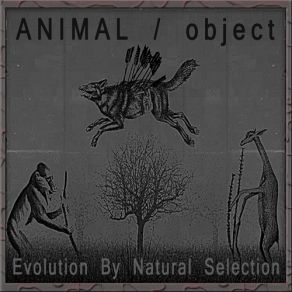 Download track Evolution By Natural Selection The Object, Animal