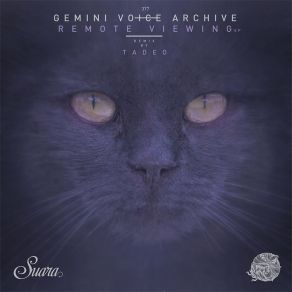 Download track Time Gemini Voice Archive