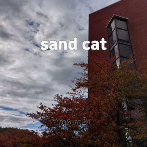 Download track Sand Cat Lee Sang Gul