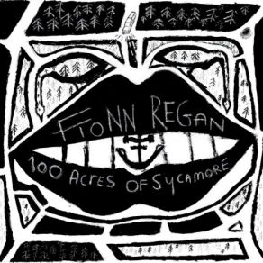 Download track Woodberry Cemetery Fionn Regan