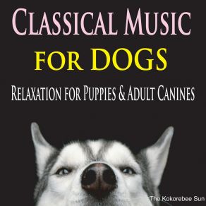 Download track Classical Canine The Kokorebee Sun