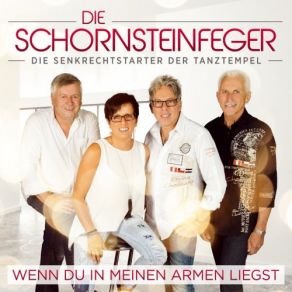 Download track Die Worte, Die Ich Dir Nie Sagte Die Schornsteinfeger