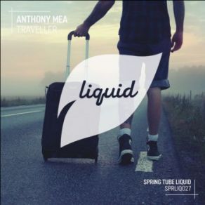 Download track Traveller (Original Mix) Anthony Mea