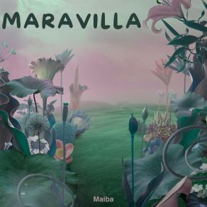 Download track Maravilla (Extended Version) Maiba