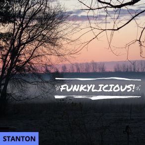 Download track Funky Persian Stanton