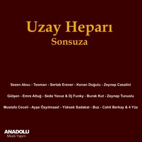 Download track Küçüğüm Sezen Aksu