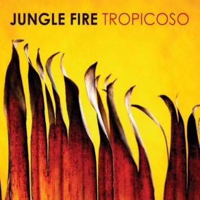 Download track Comencemos (Let's Start) Jungle Fire