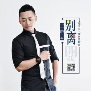 Download track 别离 (伴奏) 王晓志