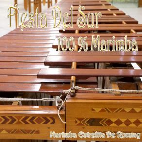 Download track Chiapas Marimba Estrellita De Rommy