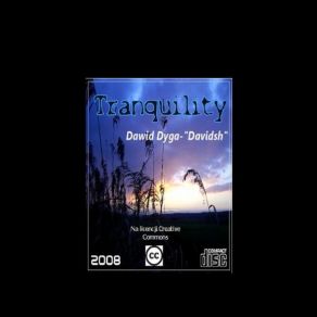 Download track Tranquility - Part X Dawid Dyga - Davidos