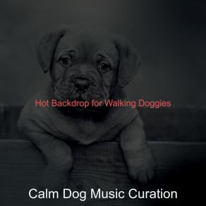 Download track Scintillating Ambience For Doggy Training Calm Dog Music Curation