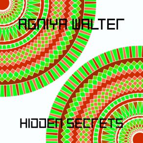 Download track Hidden Secrets Agniya Walter