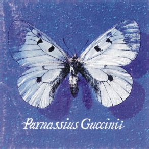 Download track Canzone Per Silvia Francesco Guccini