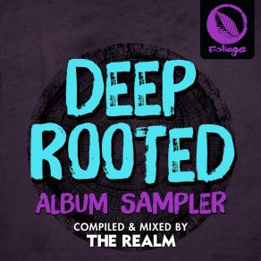 Download track See-Line Woman (The Realm Remix Edit) The Realm