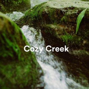 Download track Small Brook Soft Soundscapes