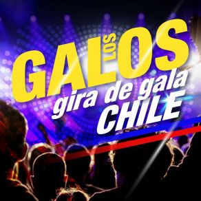 Download track Te Amo De Noche, Te Extraño De Día (En Vivo) Los Galos