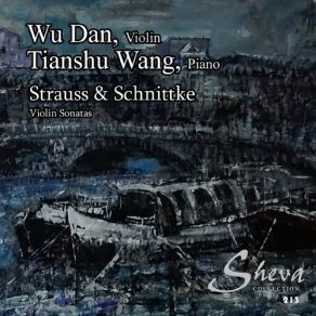 Download track Violin Sonata No. 1 I. Andante Wu Dan