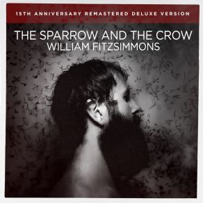 Download track They'll Never Take The Good Years (Remastered 2024) William Fitzsimmons