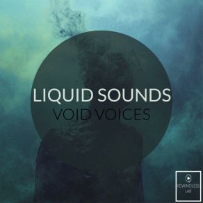 Download track Void Voices (Radio Edit) Liquid Sound