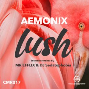 Download track Lush (MR EFFLIX Remix) Aemonix