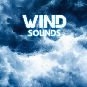 Download track Wind In The Ocean (Deep Sleep Remix) The Sounds Of NatureOcean Sounds, Weather Storms, Weather White Noise, Storm Power, Ocean Library