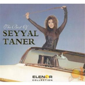 Download track Bir Kış Daha Olur Seyyal Taner