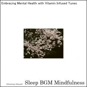 Download track Metaphysical Echoes Soothe The Mind's Struggle Sleep BGM Mindfulness