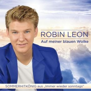 Download track Es Liebt Dich Niemand So Wie Ich Robin Leon