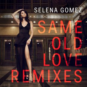 Download track Same Old Love Dry Remix Selena Gomez