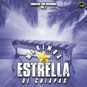 Download track Celoso Marimba Estrella De Chiapas