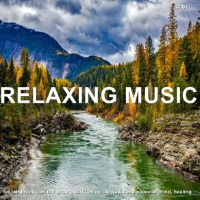 Download track Soothing Ballad White Noise Baby Sleep