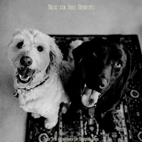 Download track Spirited Backdrops For Cute Puppies Music For Dogs Moments