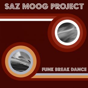 Download track Mehteran (Viyana Sokaklarında) Saz Moog Project