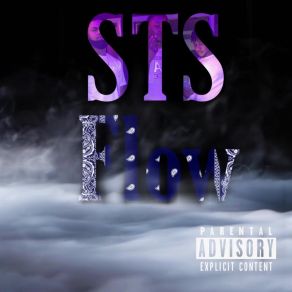 Download track STS Flow ST$ Sno