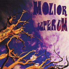 Download track Molten Space Molior Superum