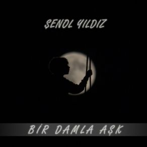 Download track Sessizce Şenol Yıldız