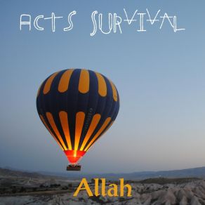 Download track Desperate Landscapes Allah