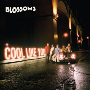 Download track Giving Up The Ghost (Acoustic) Blossoms