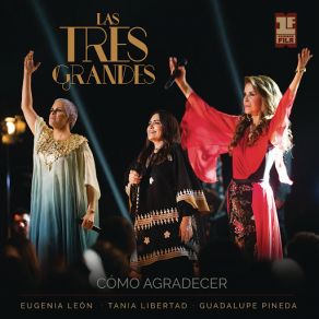 Download track Cómo Agradecer (Primera Fila [En Vivo]) Las Tres Grandes