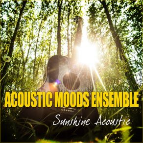 Download track Titanium Acoustic Moods Ensemble