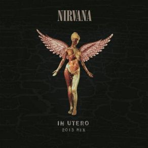 Download track Milk It (2013 Mix - Vinyl Experience) Nirvana