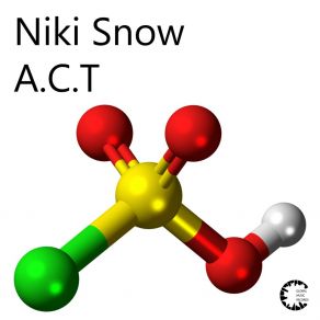 Download track Acid Trip Niki Snow