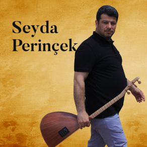 Download track Ez Gêrîla Me Şeyda Perinçek